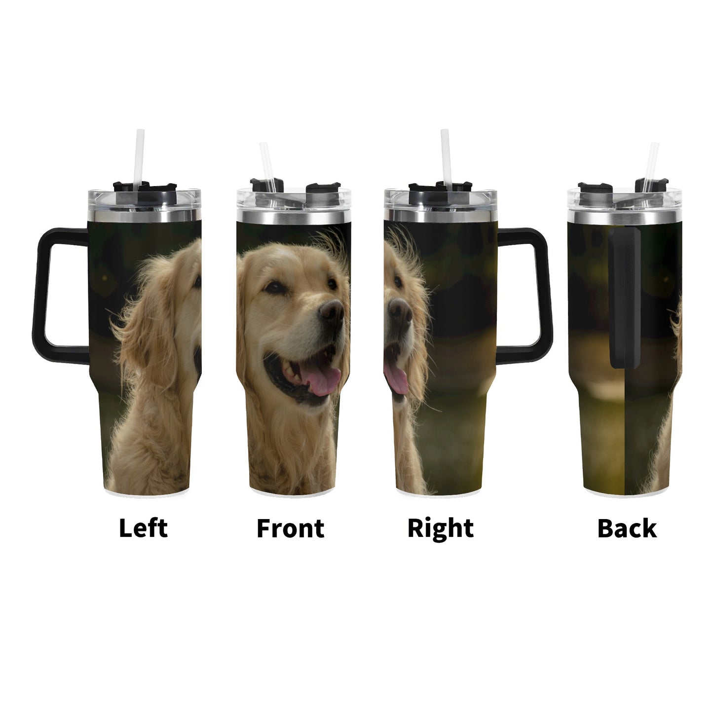 filename-1768368469-2-lKPhge9PpN