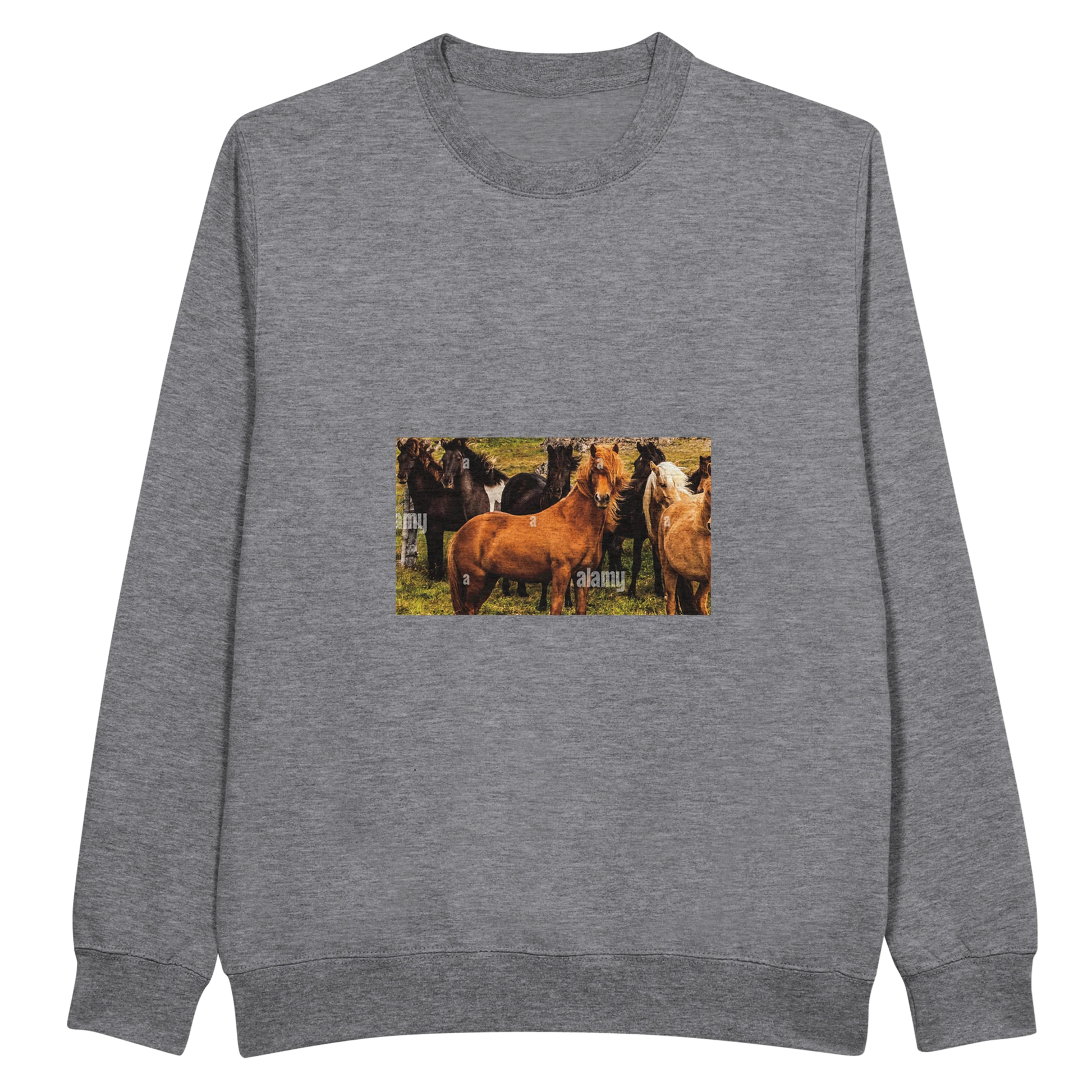 294718f0-e2d7-4ace-b130-c7b1101db347