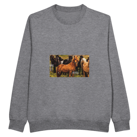 294718f0-e2d7-4ace-b130-c7b1101db347