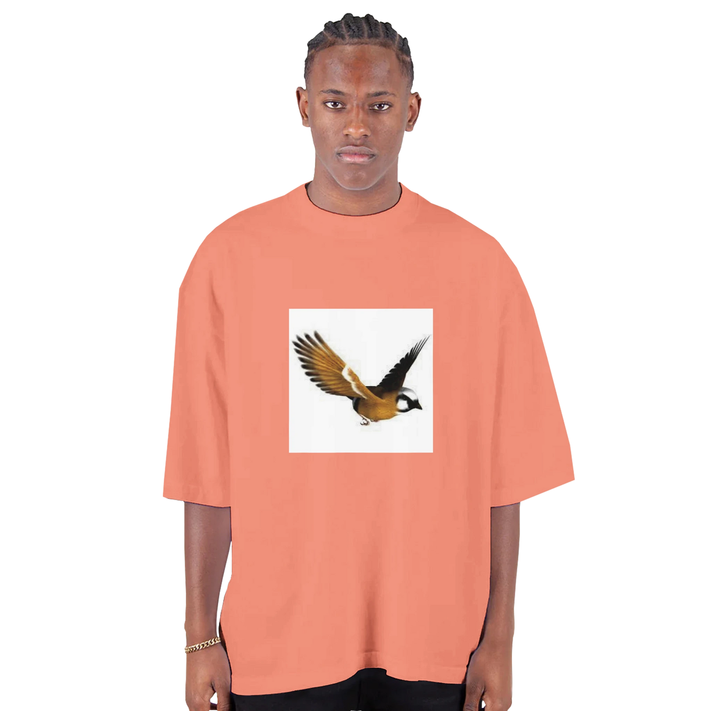 2b02fe44-f722-438e-ac2c-55ff5edfeb32