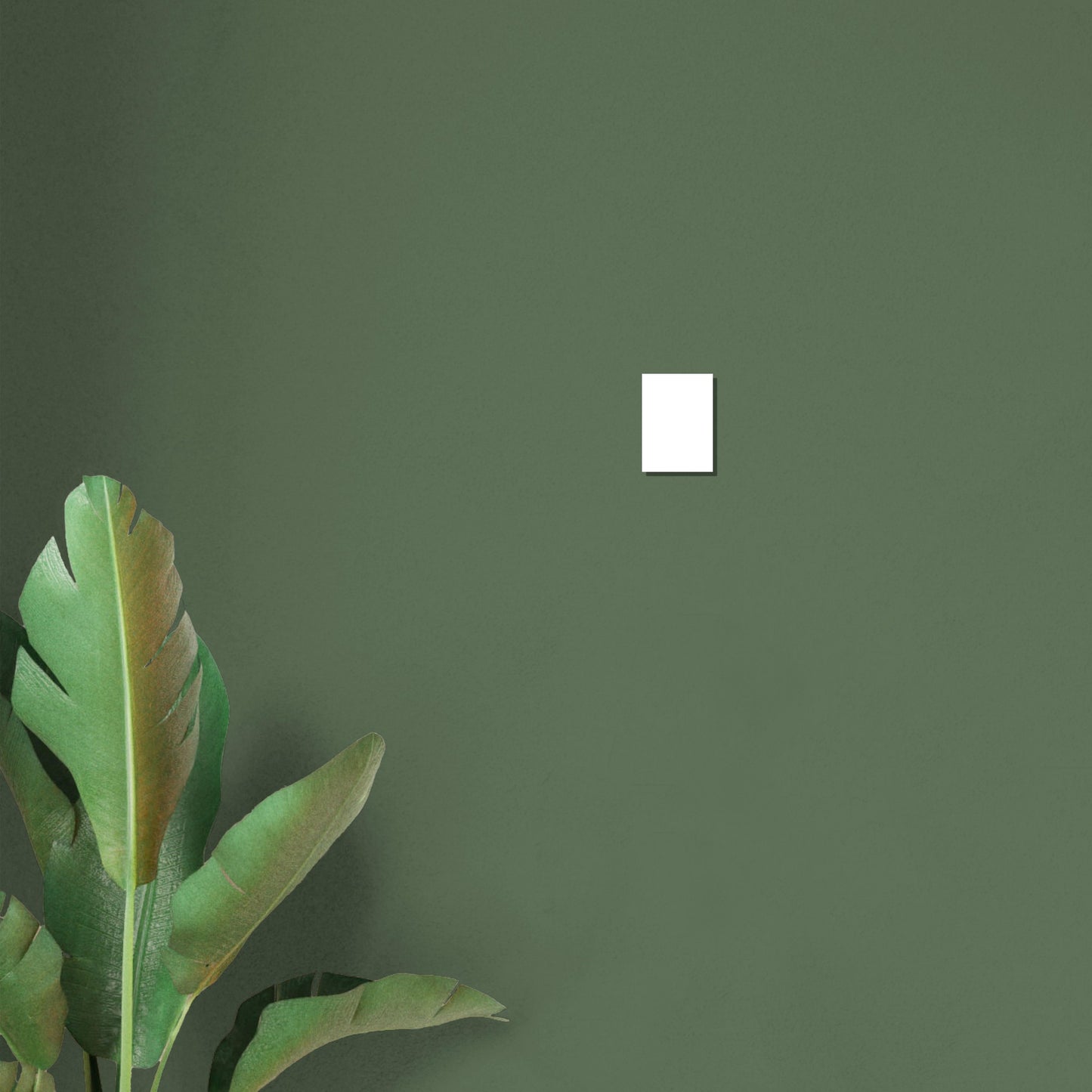 874c0db0-4df3-41f9-82a1-e3f682bc931c