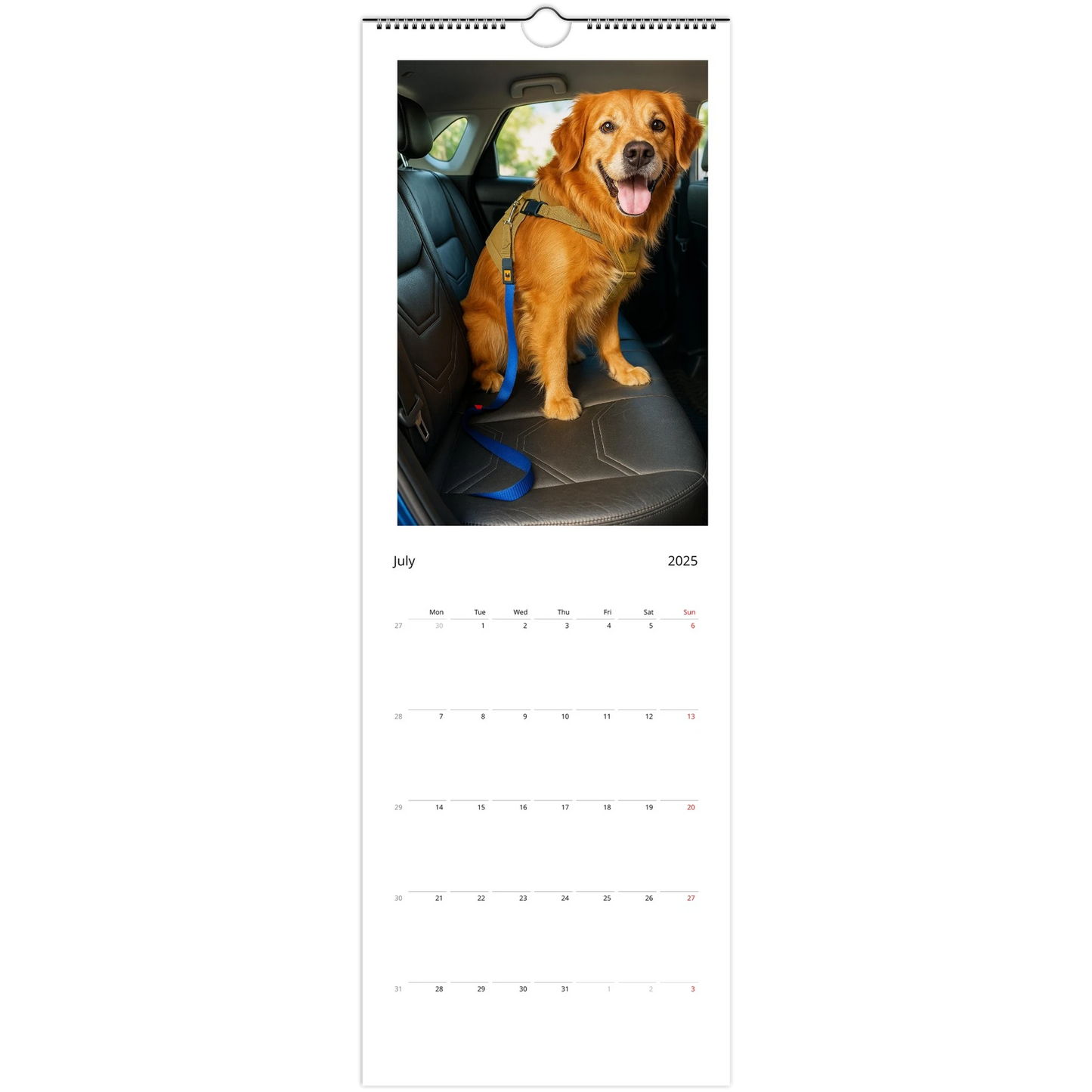 8f48eae6-d35f-4b6c-9a1b-03726e404606