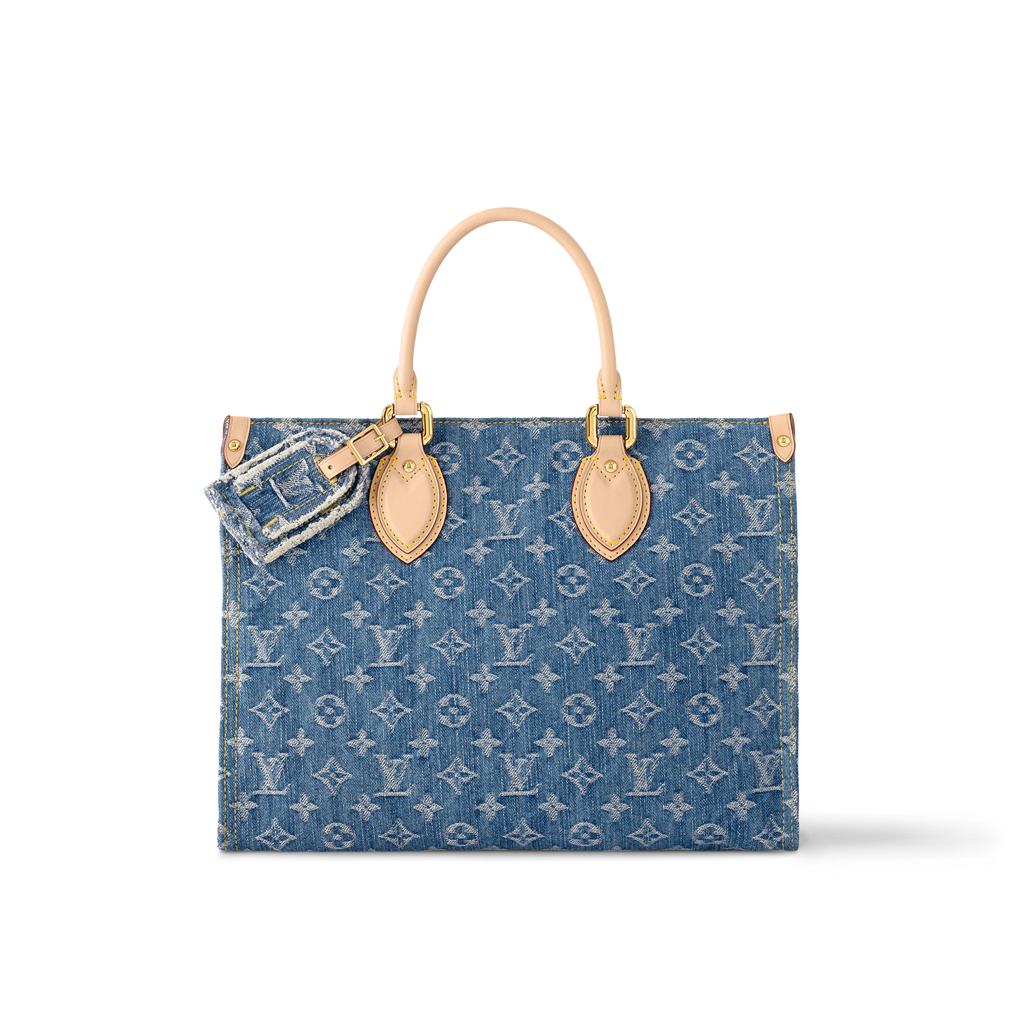 LV Bag (not in collection)